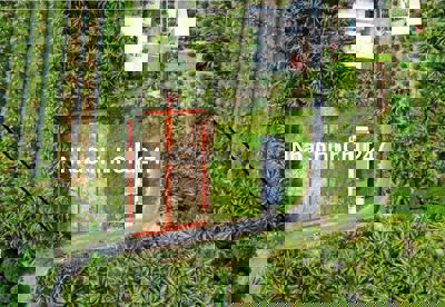 chính chủ bán đất mặt tiền lộ nhựa giữa hai chợ an hoà và ngãi tứ