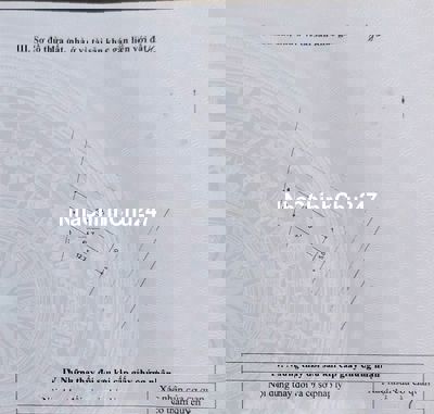 Chính chủ Bán gấp 66m2 Đất, lô góc tại Dương Nội, Hà Đông. 16.2 tỷ