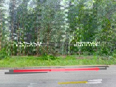 Mặt Nhựa TX Bình Long- giá thật 290tr- chính chủ thương lượng khách ạ