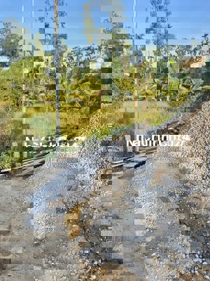 Chính chủ bán đất thổ cư toàn bộ 120,2m2