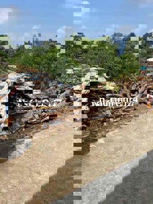 Chính chủ đi miền Nam làm ăn cần bán gấp