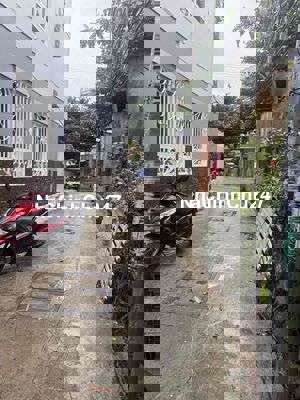 SỐC – HIẾM SƠN TRÀ– NGON- CHÍNH CHỦ LÂU NĂM – CHƯA QUA ĐẦU TƯ 3.25 TỶ