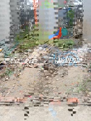 Tôi chính chủ bán đất tại xã An Thượng Hoài Đức gần trường đại học