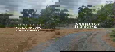 Chủ ngộp bán lô đất Đồng Phú 1000m2 giá từ 499tr