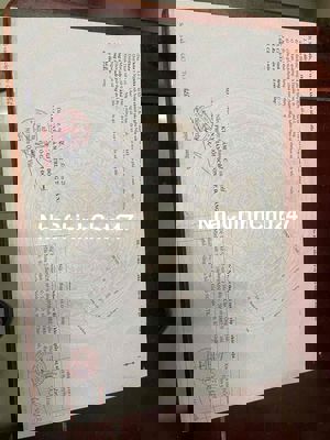 lô góc 2 mặt tiền đường Lê Đình Chinh và Đồng Phước Huyến Bá tùng