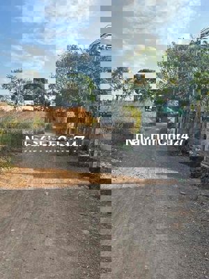 CHỦ CẮT LỖ GẤP 3 SÀO -100 TC- cách nhựa 50m