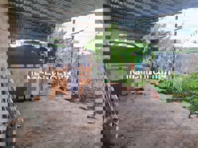 Hẻm3gac Đất+mái nhà tôn Dtsd110m² cổng rào riêng biệt điện nước đây đủ