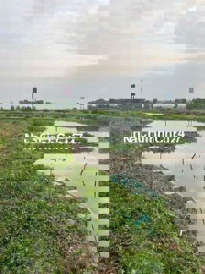 Đất làm nhà vườn