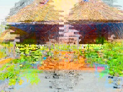 ĐẤT LÀM NHÀ VƯỜN CÁCH VĐ3 CHỈ 800m TẠI VĨNH THANH NHƠN TRẠCH ĐỒNG NAI