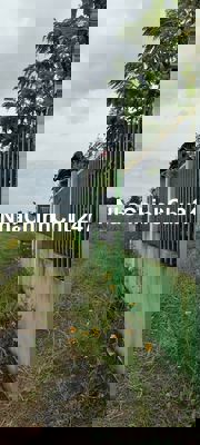 Ngộp! Nhà vườn nghỉ dưỡng Bình Mỹ 500m2 giá rẻ chỉ 2 tỷ