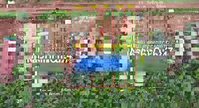 Chính Chủ Bán Gấp Lô Đất 300m2, 60m2 TC, Cư Né, KrongBuk DakLak