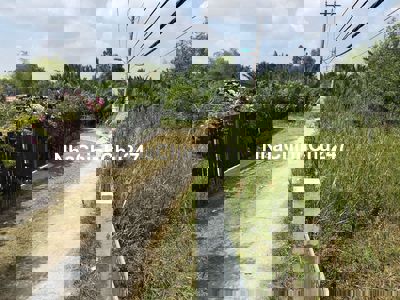 Bán đất Nông nghiệp Hiệp Phước Nhà Bè