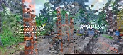 Bán nhà vườn 10000m2 Đường Vườn Thơm xã Bình Lợi HBC