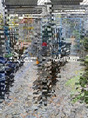 Chủ Ngộp Cần Bánnhanh Căn nhà ở TháiThịGiữ BàĐiểm SổHồngRiêng790tr