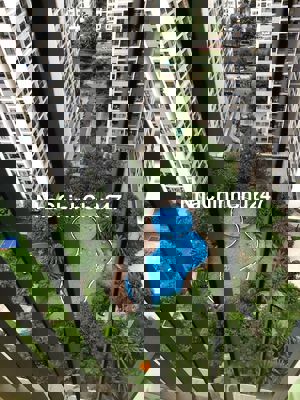 Chính chủ bán căn 1PN+ 52m2 trực diện hồ bơi, hướng mát, giá 2.15 tỷ