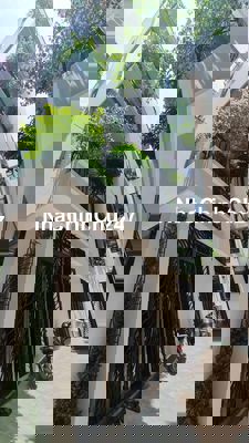 Nhà gần Hồ Tây – 45m² – 6 tầng – phong cách hiện đại – 15.6 tỷ