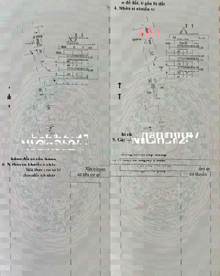 Chính chủ chào bán 05 lô liền kề kiệt ô tô 5m Trinh Đường