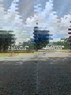 2hec 3 đất nằm ngay mặt tiền đường 12m, cần tìm chủ mới giá yêu thương