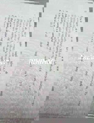 Chính Chủ gửi bán gấp 4 lô F0 250m2 mặt tiền đường 9m giá rẻ