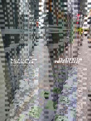 Chủ Ngộp Cần Bán Gáp Nhà Để Trị Bệnh Cho Người Nhà