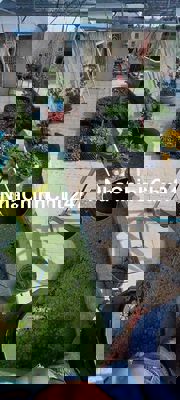 BÁN NHÀ 1 TRỆT 1 LẦU GẦN CHỢ MỚI TRẢNG BOM, TT TRẢNG BOM