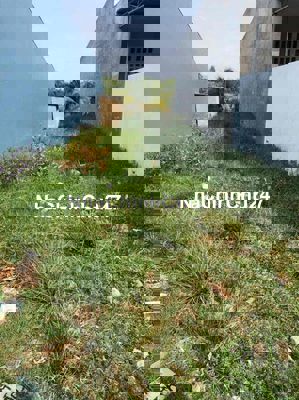 chính chủ cần bán đất Tp Hồ Chí Minh