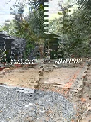 CẦN BÁN GẤP LÔ ĐẤT THỔ CƯ 165M2, KHU DÂN ĐÔNG, CHÍNH CHỦ HƠN 550TR.