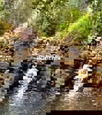 Bán 5600m2 Đất Giáp Suối - Có 200m2 Thổ Cư - Mặt Tiền Nhựa Lớn Liên Xã