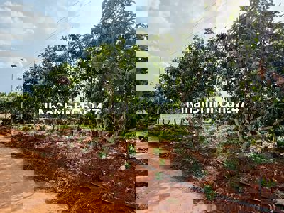 Bán 12m Ngang TT Nam Ban. Đã Lên Full Thổ Cư