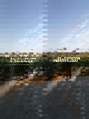 Đất nhà cần bán 1 nền 5x37,5 thổ cư 100℅ tại k20, Châu Bình,Giồng trôm