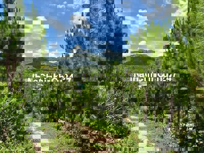 6000m2 mặt tiền Bao Siri, đã tạo sẵn View 360, khu dân cư, QH thổ cư