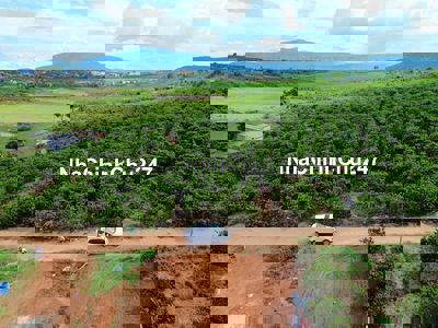 Đất Đan Phượng, Lâm Hà diện tích 400m2 có thổ cư giá chỉ 439 triệu