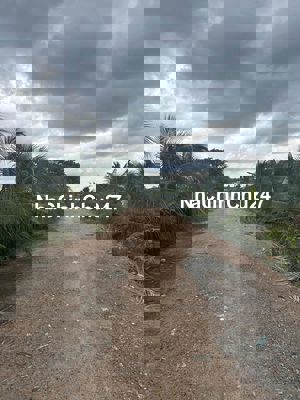 Chính chủ Bán đất vườn 2MT:100x90m. Giá bán 20tỷ TL chính chủ.