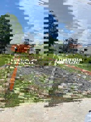 đất nền chính chu so Hồng riêng duong xi măng xe hoi vào tới dat