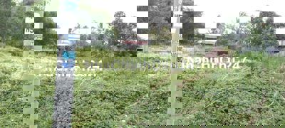 Đất thổ cư 302m2 h.đức hòa, long an,