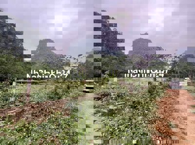 Bán Đất Thổ cư Giá Siêu Đẹp.