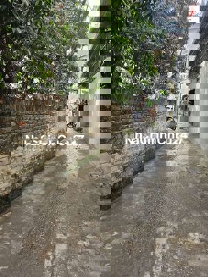 Cần bán đất thổ cư Lĩnh Nam sổ đỏ chính chủ