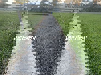 Đất thổ cư + vườn, khu dân cư, sát trường, chợ