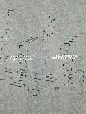 Chính chủ bán nhà sổ hồng riêng, phường phú thuận, q7.