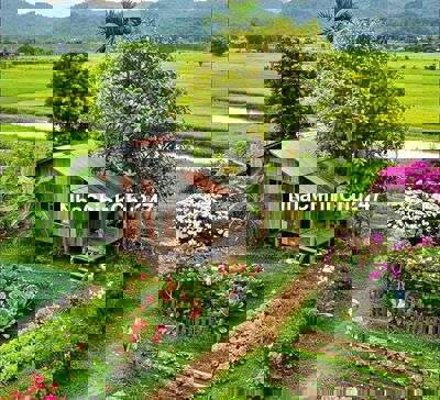 Bán đất giá rẻ ở Long Khánh-Đồng Nai