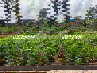 Bán 3.2ha đất vườn siêu đẹp ngay Trang trại nuôi yến tại Định Quán, ĐN