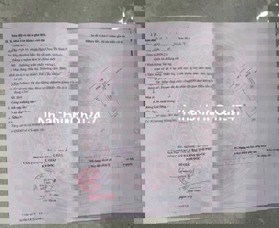 Bán vườn bưởi đang thu ra trái 190tr/ 1.000m2