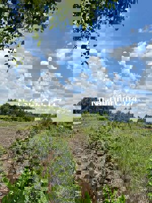 GIẢM MẠNH ĐẤT BÌNH CHÁNH 2389m2 CHỈ 5.2 TỶ