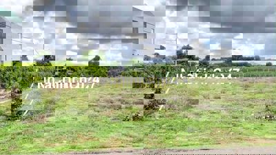 E bán đất thị xã Chơn Thành, Bình Phước 5 100m vuông, giá rẻ 320 triệu