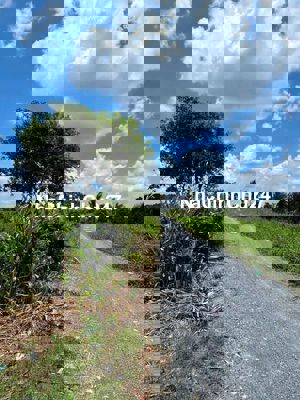 🆘🆘 2389m2 ĐẤT VƯỜN MT ĐƯỜNG KÊNH SỐ 10 GIÁ TỐT XÃ BÌNH LỢI