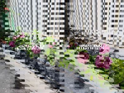 Nhà chính chủ trungg tâm TPVL