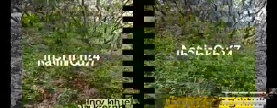 Đất khu du lịch Dray sáp, Dray nur. Sổ hồng chính chủ