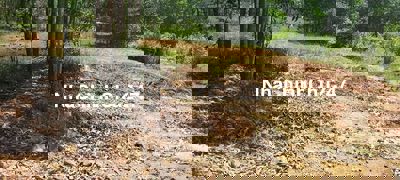 Đất chính chủ cần Bán tại xã khánh đông