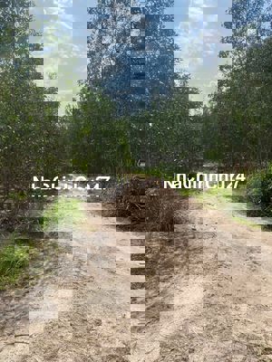 Bán 8.3 sào đất Tân Bình - TX LaGi giá rẻ nhất 197tr/ sào sổ riêng