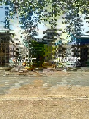 CHỦ BÁN ĐẤT N2B THÔNG CỔNG ĐH VIỆT ĐỨC, SÁT KCN - VÀNH ĐAI 4, SHR